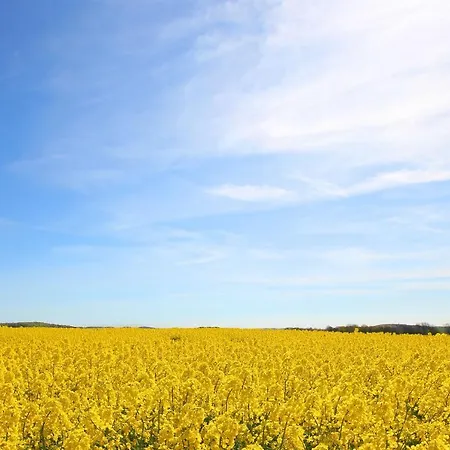 Haus Blick Zur See Ferienwohnung 06 - Mit Sauna- Und Schwimmbadnutzung Im Ahoi Sellin Lejlighed *
